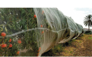 Siatka przeciw insektom 3350BT BIORETE 50 6m x 200m