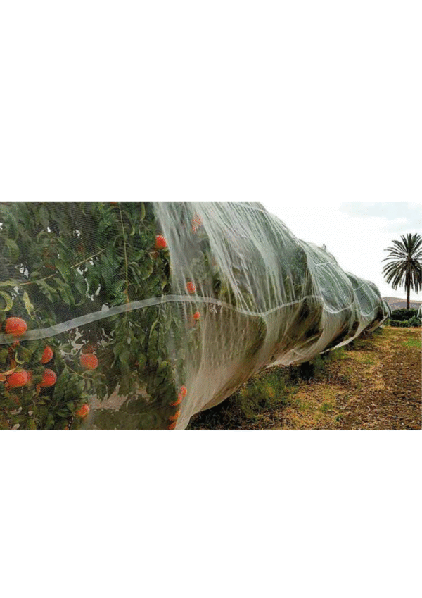 Siatka przeciw insektom 3341BT 1m x 200m - obrazek 3