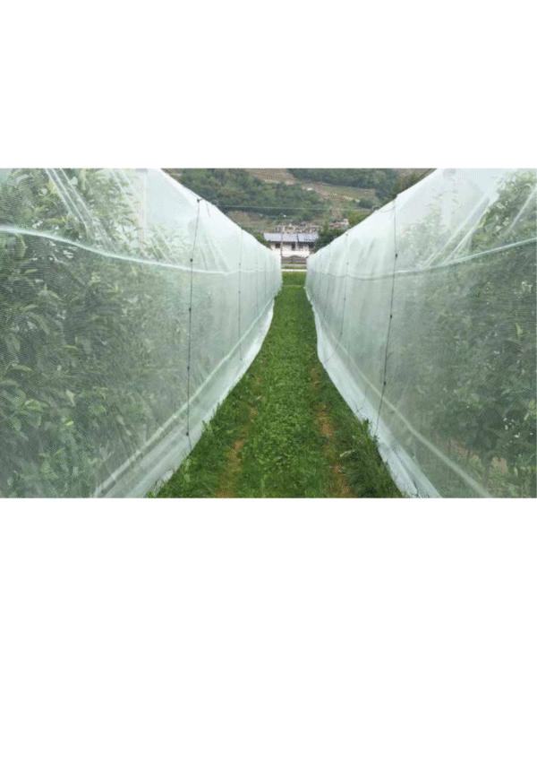 Siatka przeciw insektom 3341BT 1m x 200m - obrazek 2