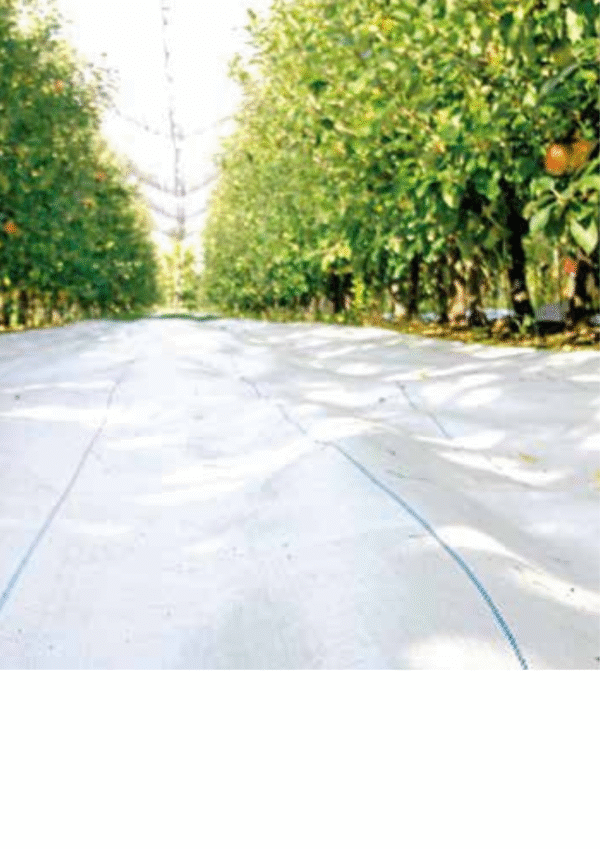 Agrotkanina z polipropylenu 3213NE AGRITELA NERA PRO 4,2m x 100m - obrazek 3